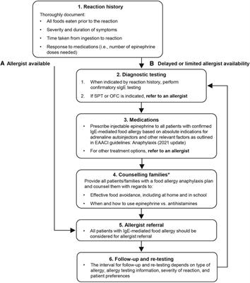 The role of pediatricians in the diagnosis and management of IgE-mediated food allergy: a review